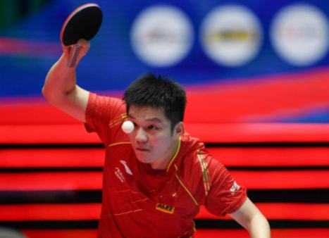 的健康保护 的健康保护